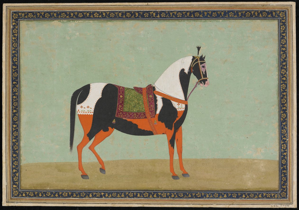 Ein Pferd von Indian School