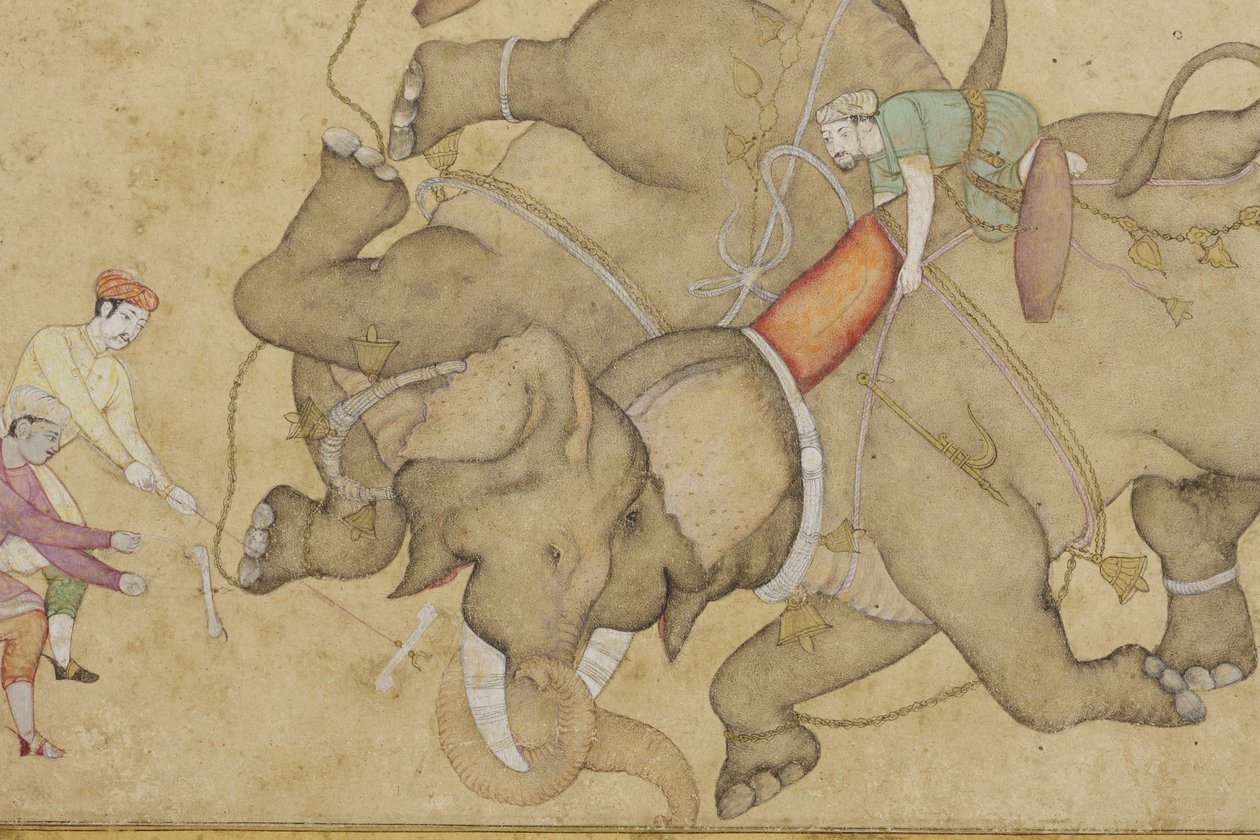 Detail eines Elefantenkampfes mit floraler Arabeskenbordüre von Indian School