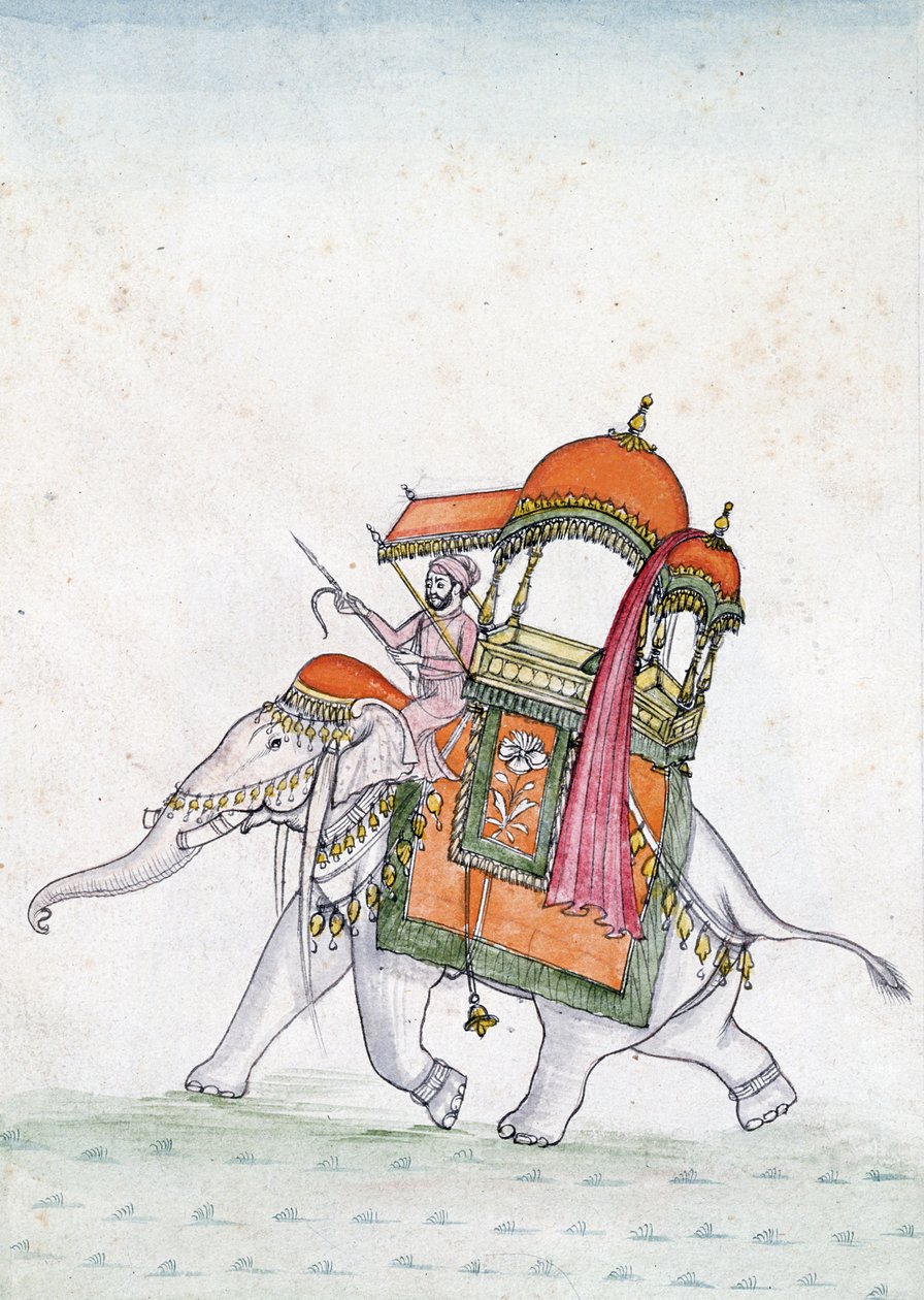 Porträt eines Mannes auf einem Elefanten reitend, frühes 19. Jahrhundert von Indian School
