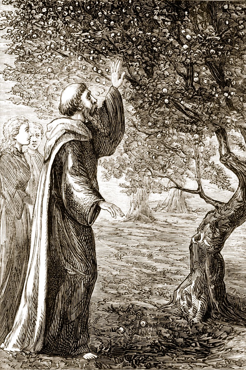 St. Columba verwandelt bittere Früchte in süße, aus The Trias Thaumaturga, oder Drei Wunderwirkende Heilige von Irland, von Mary Cusack (1829-99) veröffentlicht um 1890 von Irish School