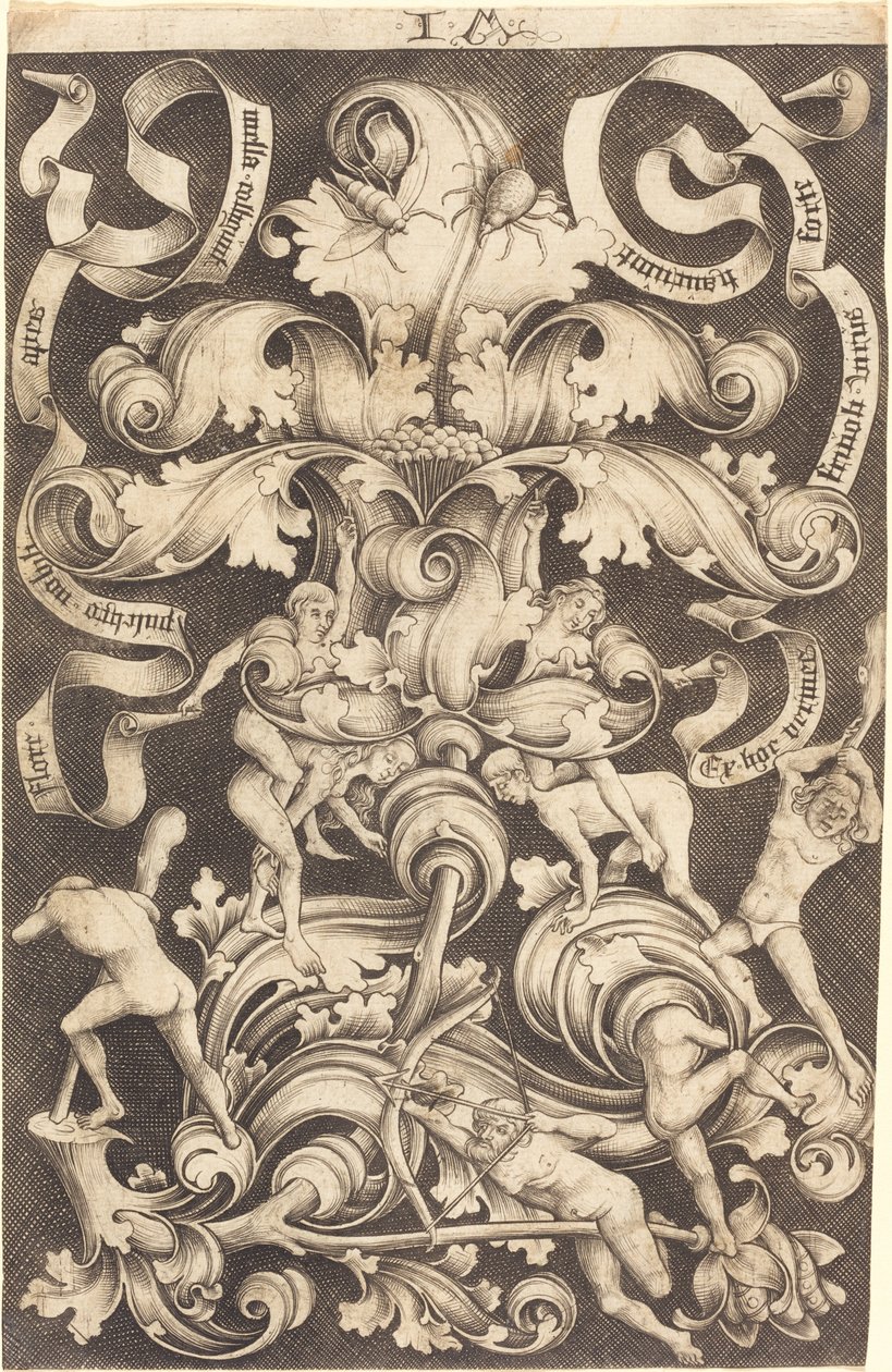 Ornament mit Blume und acht wilden Leuten von Israhel van Meckenem