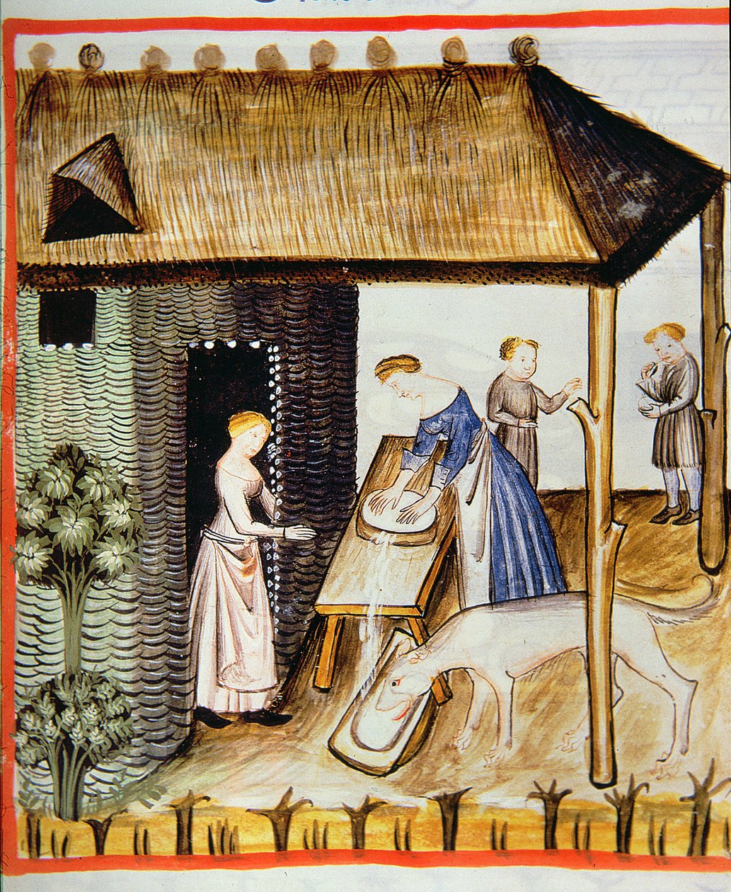Nova 2644 fol.60r Zubereitung von frischem Käse, aus Tacuinum Sanitatis von Italian School