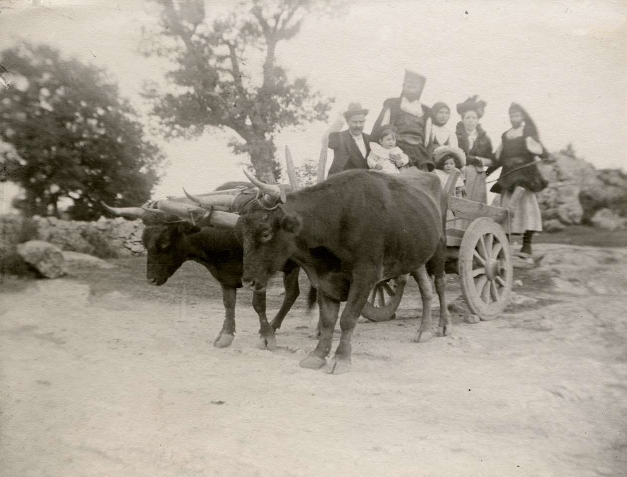 Familie auf einem von Ochsen gezogenen Wagen, Sardinien, Italien, ca. 1910 von Italian Photographer