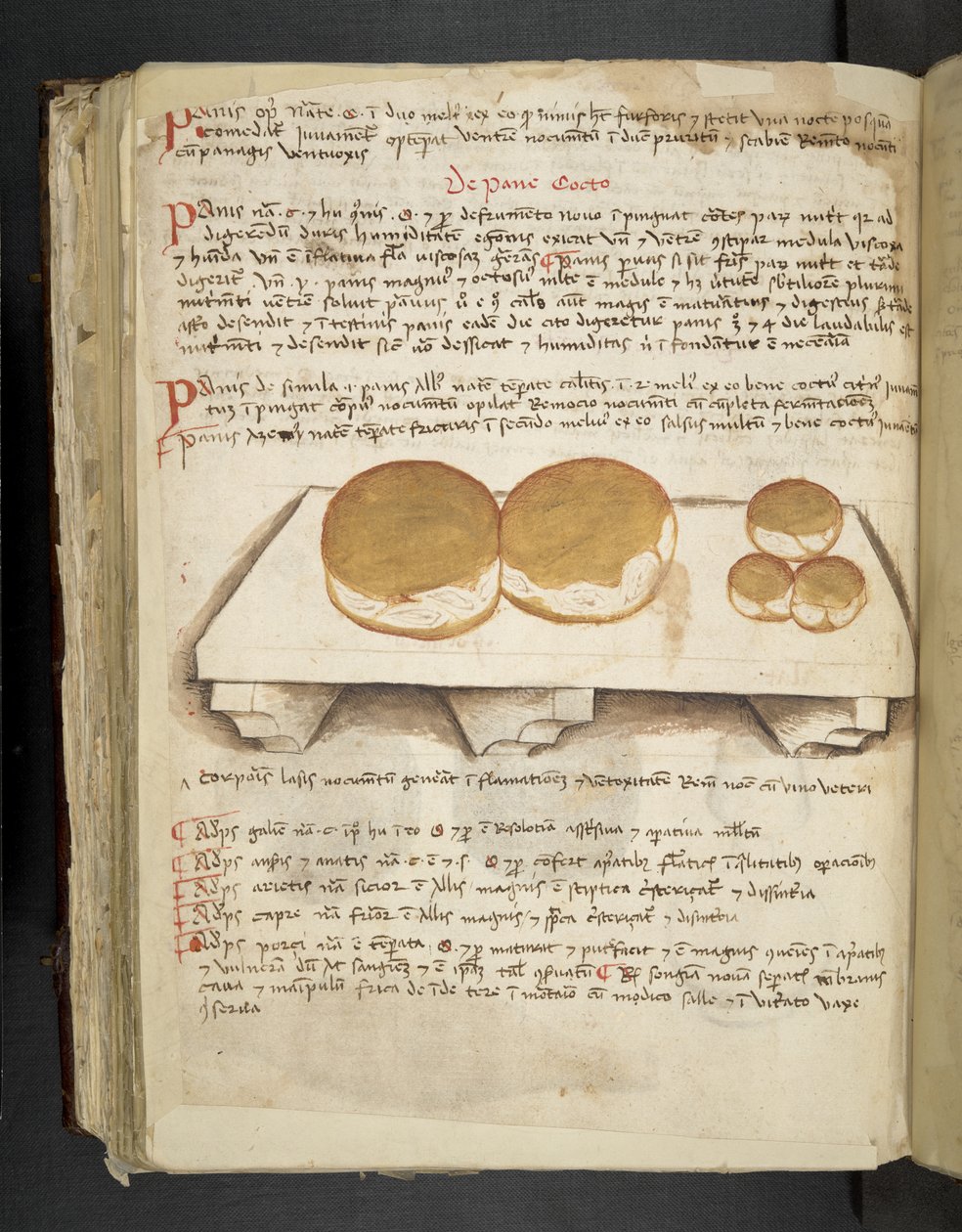 De Pane, aus Ein Kräuterbuch, Belluno von Italian School