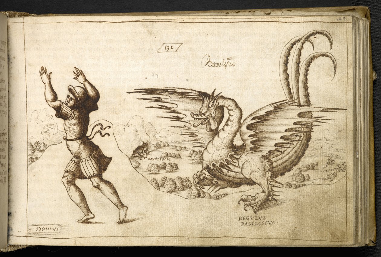 Drache aus 