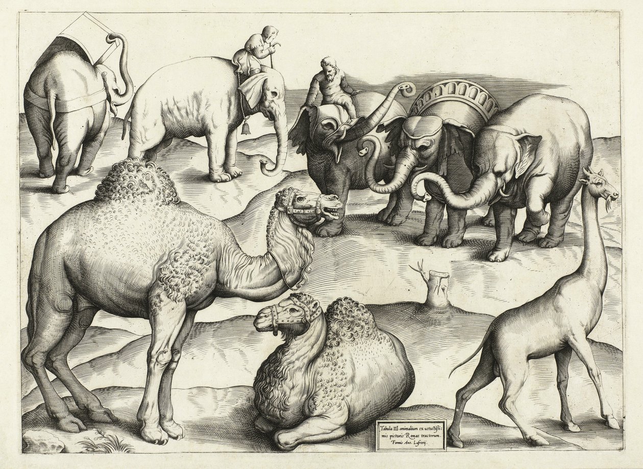 Tiermalereien aus dem antiken Rom, Tafel 3, veröffentlicht von Antonio Lafrere 1528 von Italian School