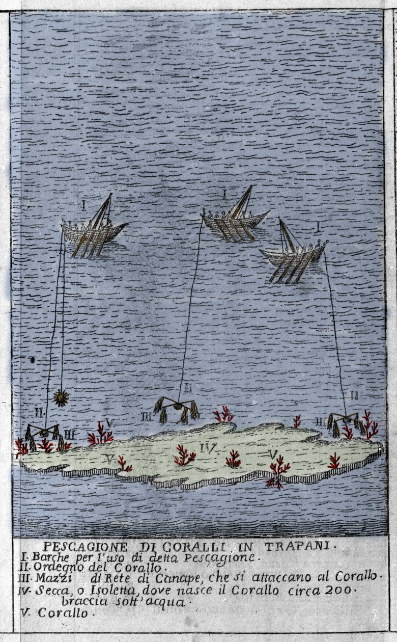 Korallenfischerei im Golf von Trapani in Sizilien, Darstellung kleiner Unterwasserinseln, auf denen Korallenbänke entstehen. Gravur aus „Stato Presente della Sicilia“ von Arcangelo Leanti, Palermo 1761 von Italian School