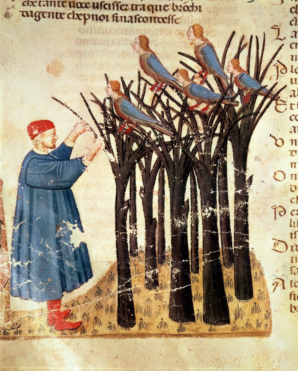 Dante und die in Vögel verwandelten Seelen, aus Die Göttliche Komödie von Dante Alighieri (1265-1321) von Italian School