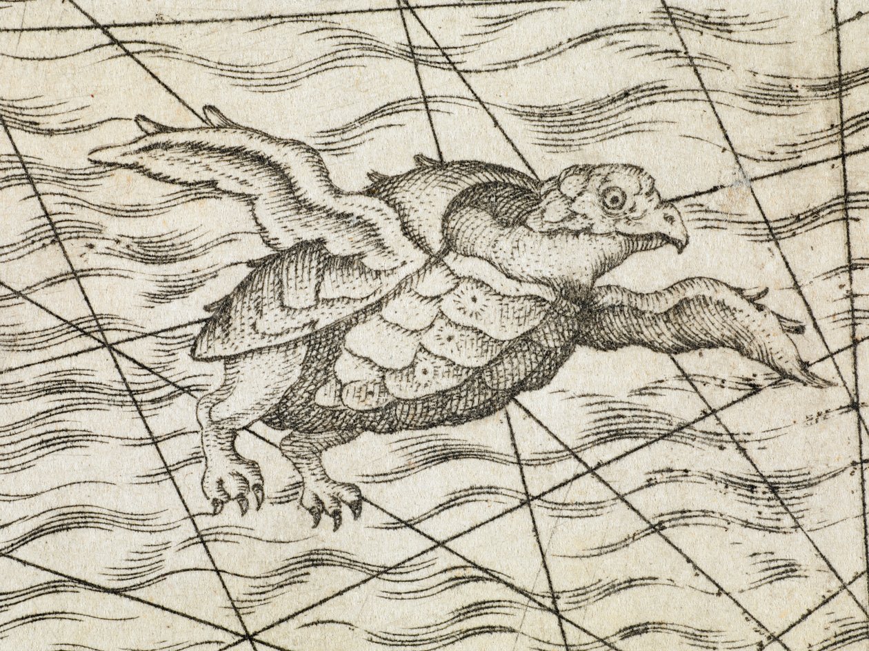 (Detail) einer fliegenden Schildkröte auf einer Karte von Nordeuropa, aus 