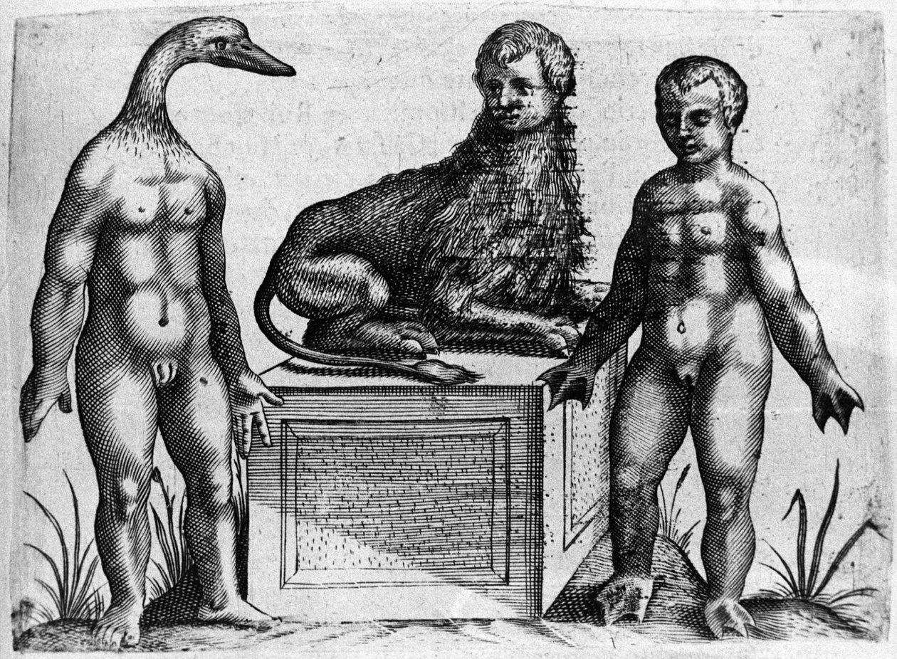 Verschiedene Arten von menschlichen Monstern: ein Mann mit dem Kopf einer Ente, ein Mann mit dem Körper eines Löwen und ein anderer mit Handflächen. Gravur aus „De monstrorum natura, causis et differentiis“ von Fortunio Liceti (1577-1656), italienischer Wi von Italian School