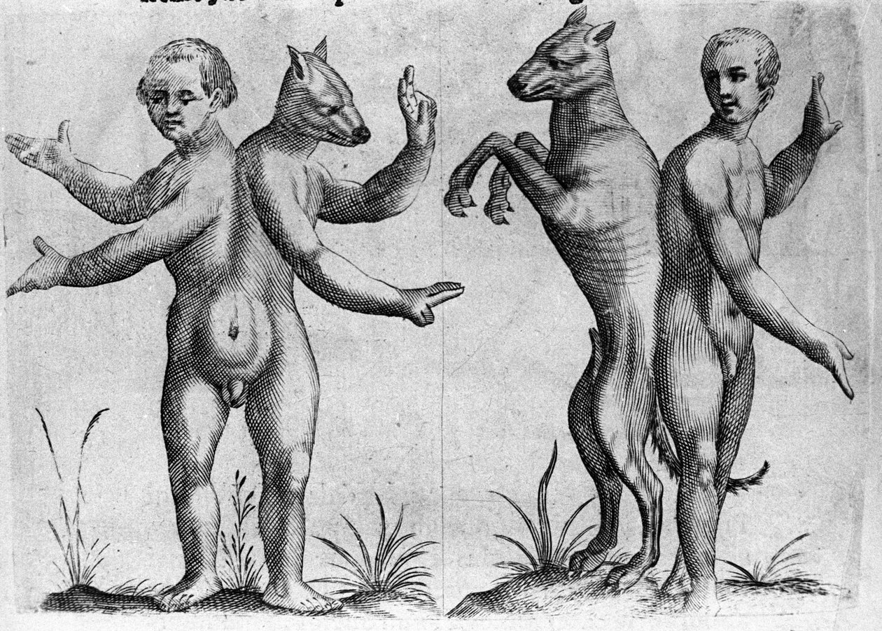 Verschiedene Arten von menschlichen Monstern: Zwei Kreaturen mit doppelten Körpern, halb Mensch und Hund (Siamesen). Gravur aus „De monstrorum natura, causis et differentiis“ von Fortunio Liceti (1577-1656), italienischer Wissenschaftler. 1646 von Italian School