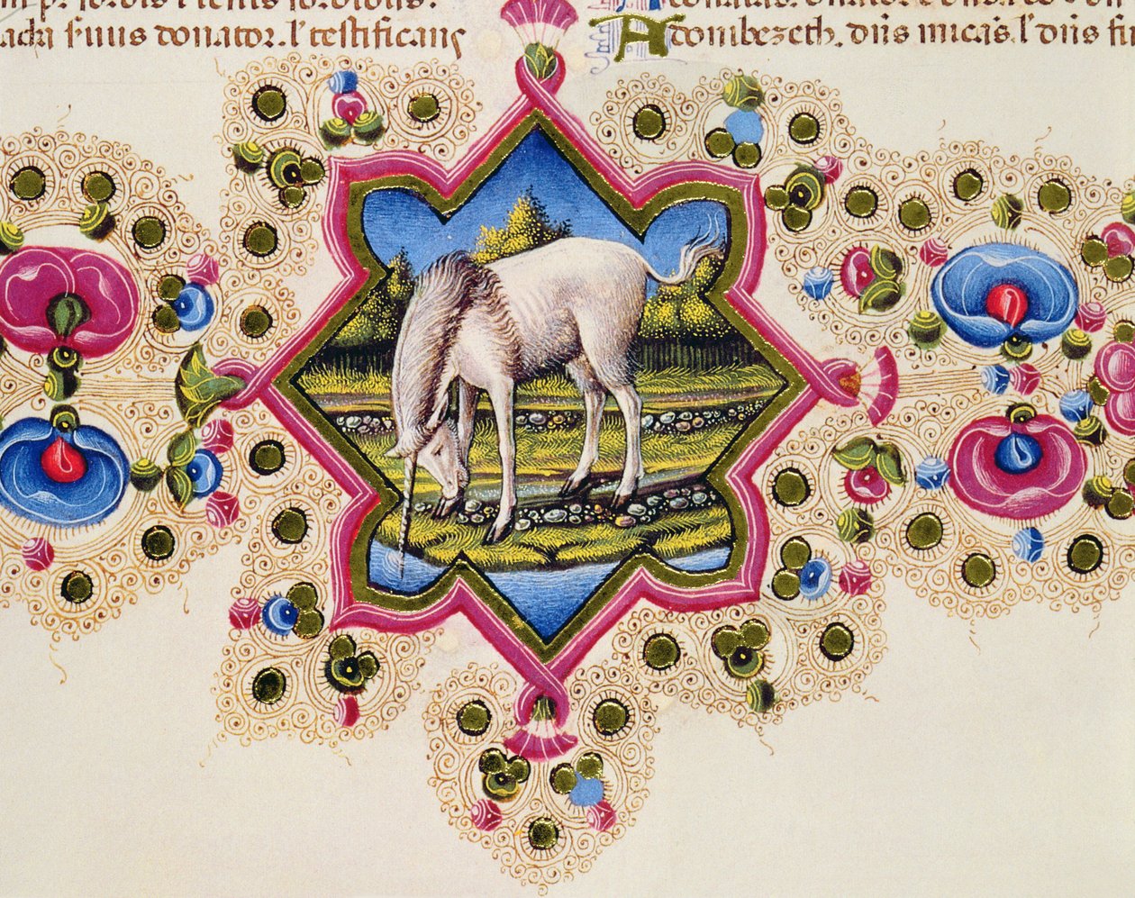 Fol.245V Ein Einhorn, aus der Borso d
