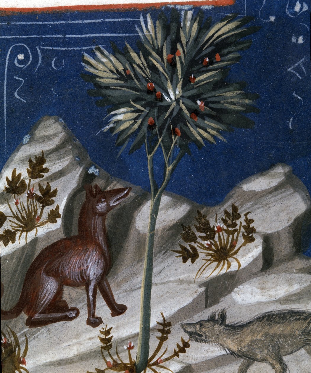 Fuchs und Wolf, Illustration aus "Codex Justianus", 1350 von Italian School