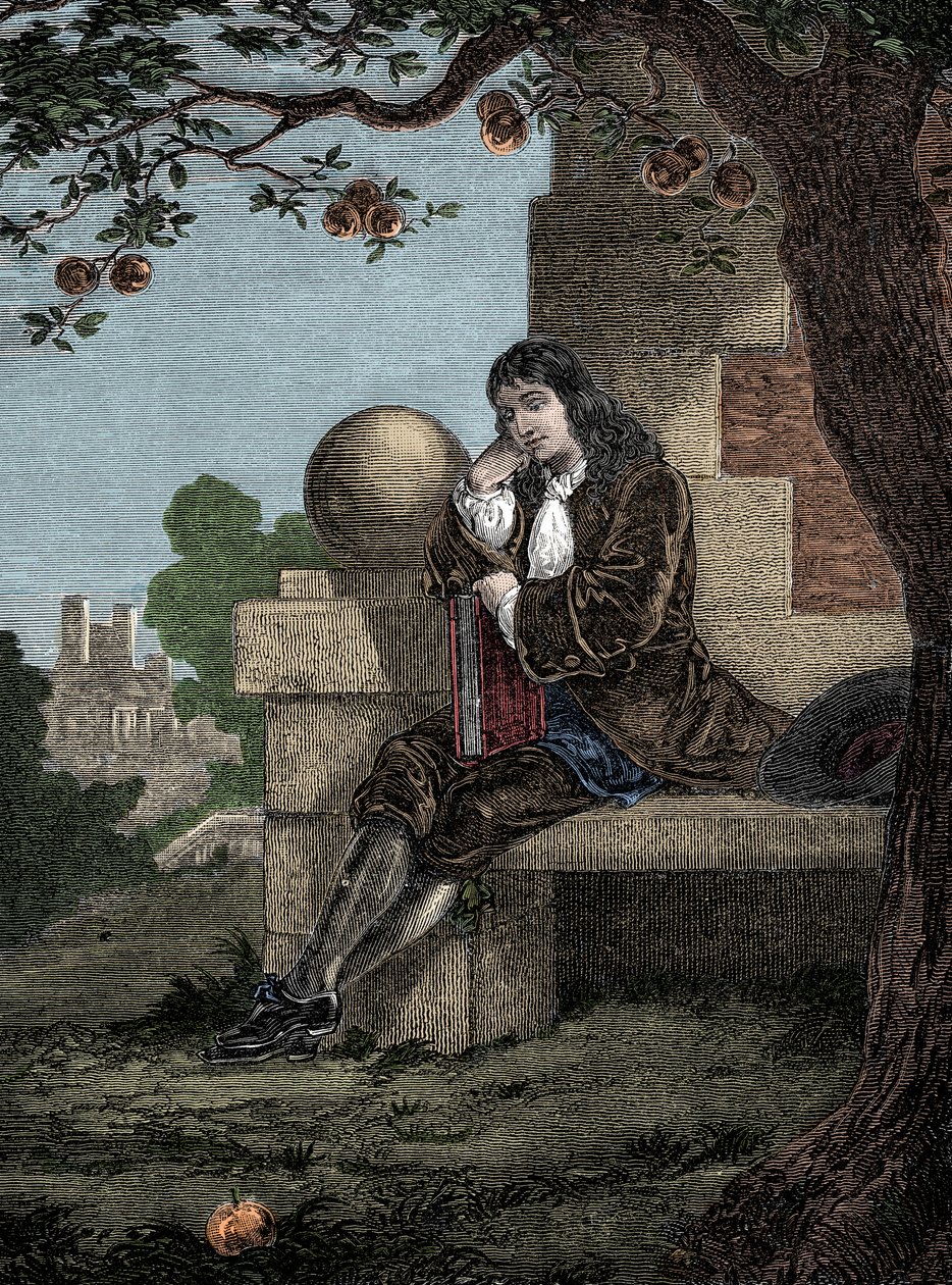 Isaac Newton beobachtet einen Apfel, der zu Boden fällt, während er unter einem Baum sitzt. von Italian School