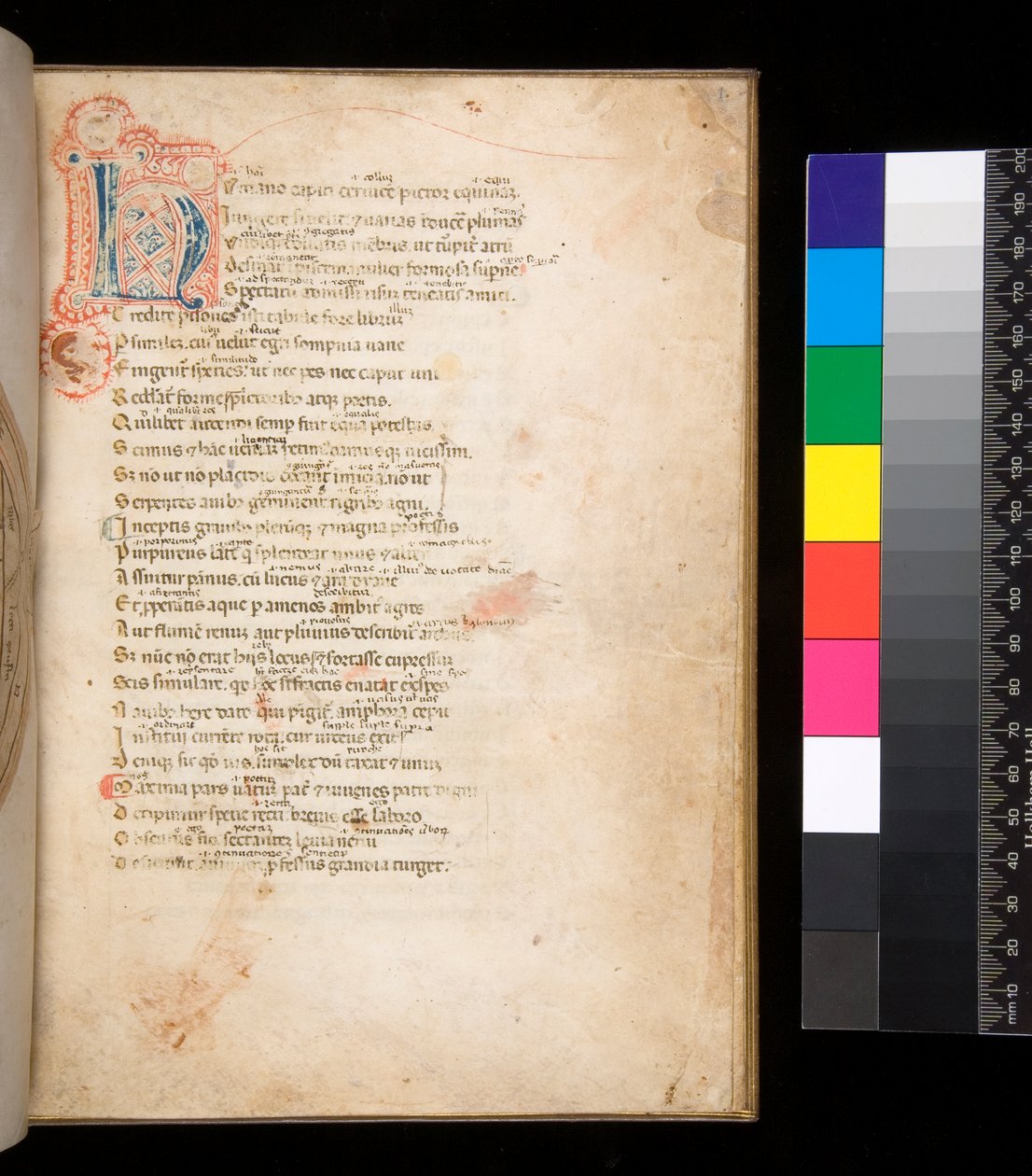 Ms 315. Horaz, Ars Poetica und Epistulae, f.1r. Verzierte Initiale [N] in blau und rot mit umliegendem Federwerk in rot von Italian School