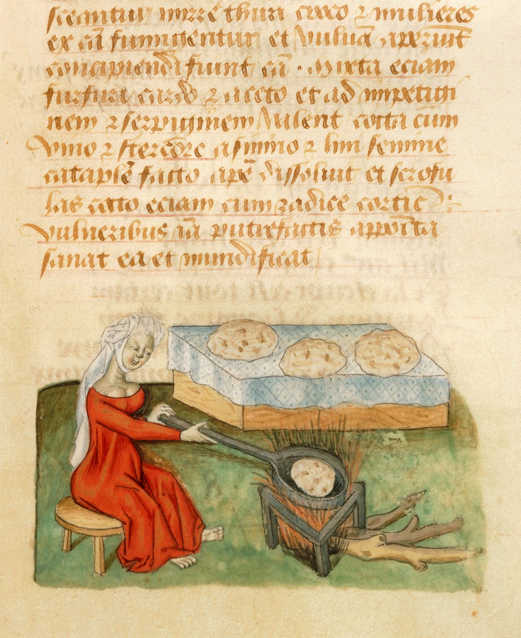 Seite aus dem Tractatus de Herbis von Dioscorides Pedanius von Italian School