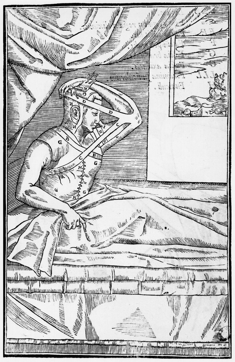 Rekonstruktive Nasenchirurgie, Illustration aus 