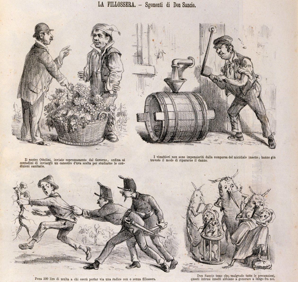 Satirische Karikatur zur Weinbaukrise durch Phylloxera, Illustration aus der satirischen Zeitung Spirito Folletto, 18. September von Italian School