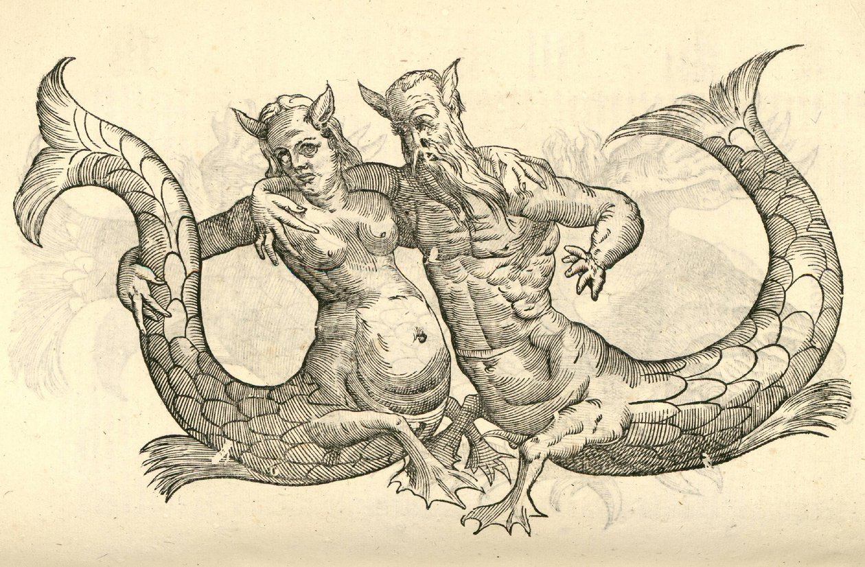 Illustration von Monstra Niliaca Parei aus Aldrovandis Geschichte der Monster, 1642 von Italian School