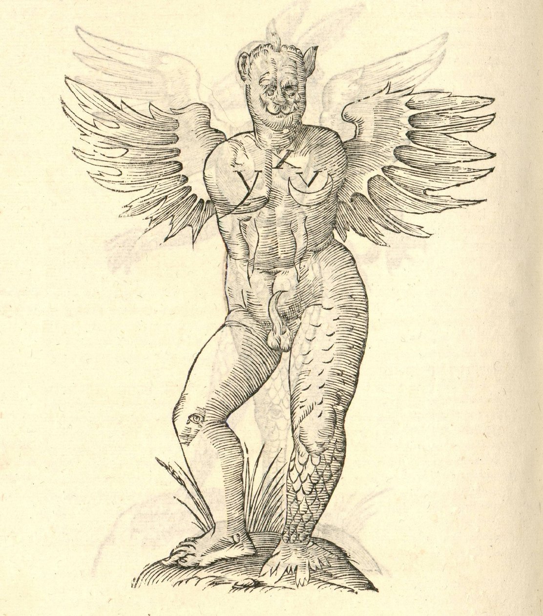 Illustration von Monstrum cornutum und alatum aliud aus Aldrovandis Geschichte der Monster, 1642 von Italian School