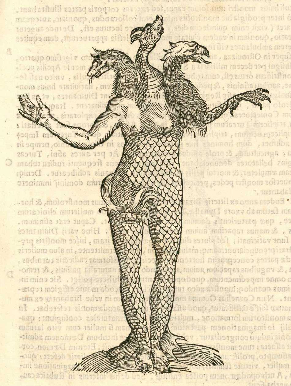 Illustration von Monstrum triceps capite Vulpis, Draconis, & Aquilae aus Aldrovandis Geschichte der Monster, 1642 von Italian School