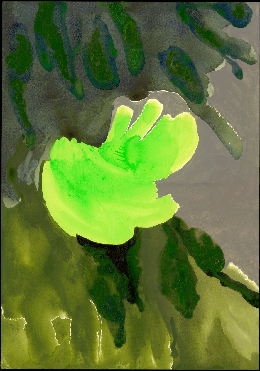 Kensington Gardens Serie: Leaf Cascade, 2007 von Izabella Godlewska de Aranda
