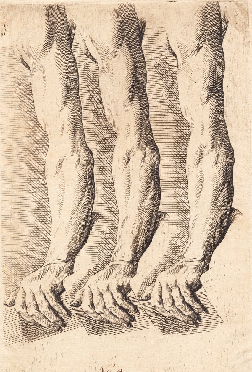Studienblatt von Armen von J.F. Clemens