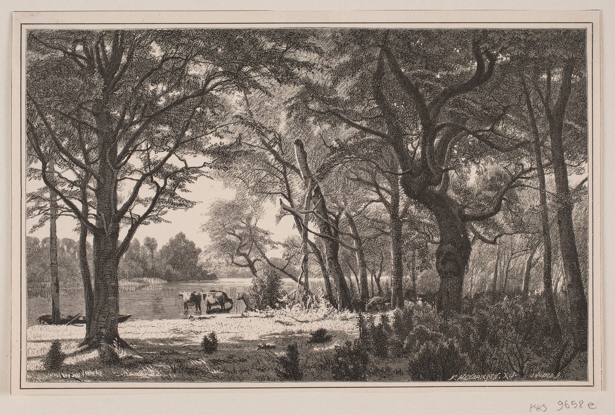 Jütländische Waldpartie von J. Hildebrand