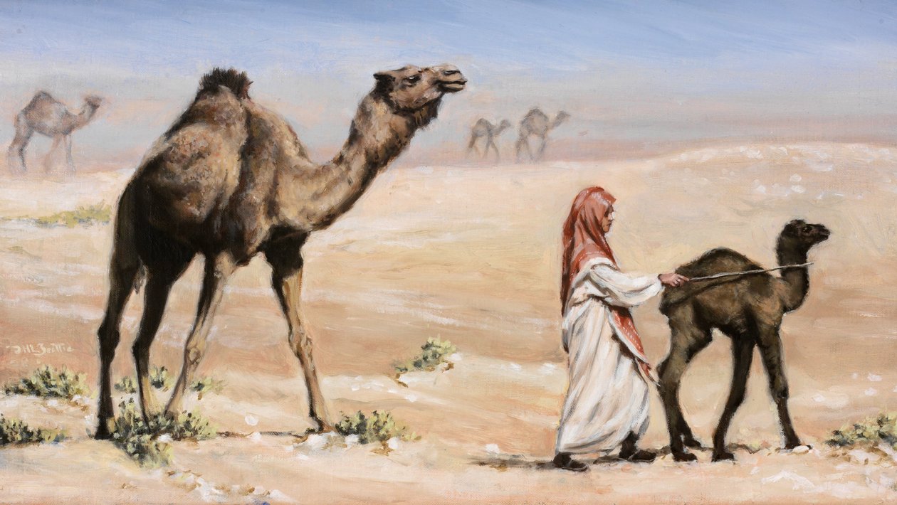 Mutterprobleme, 2008 von J Hugh L Beattie