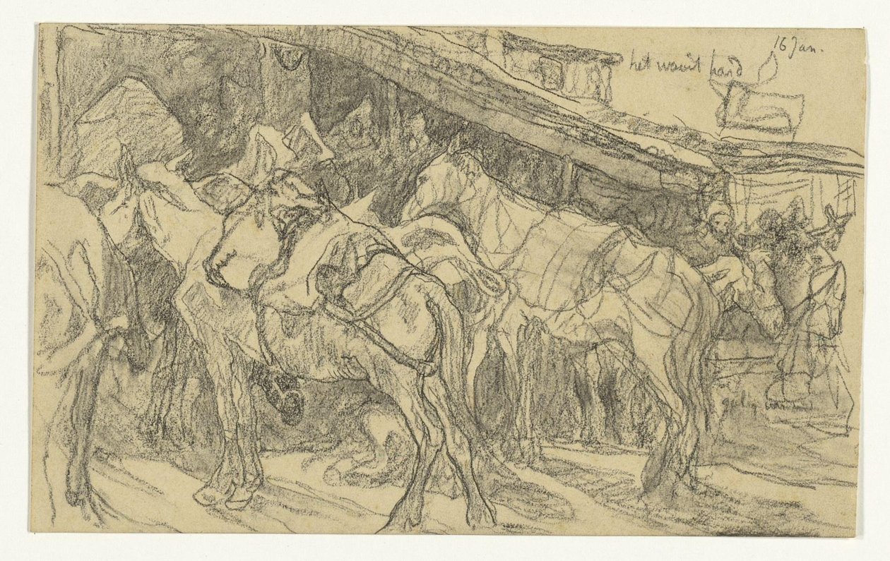 Maultiere und Esel auf dem Großen Markt in Tanger von Jac van Looij