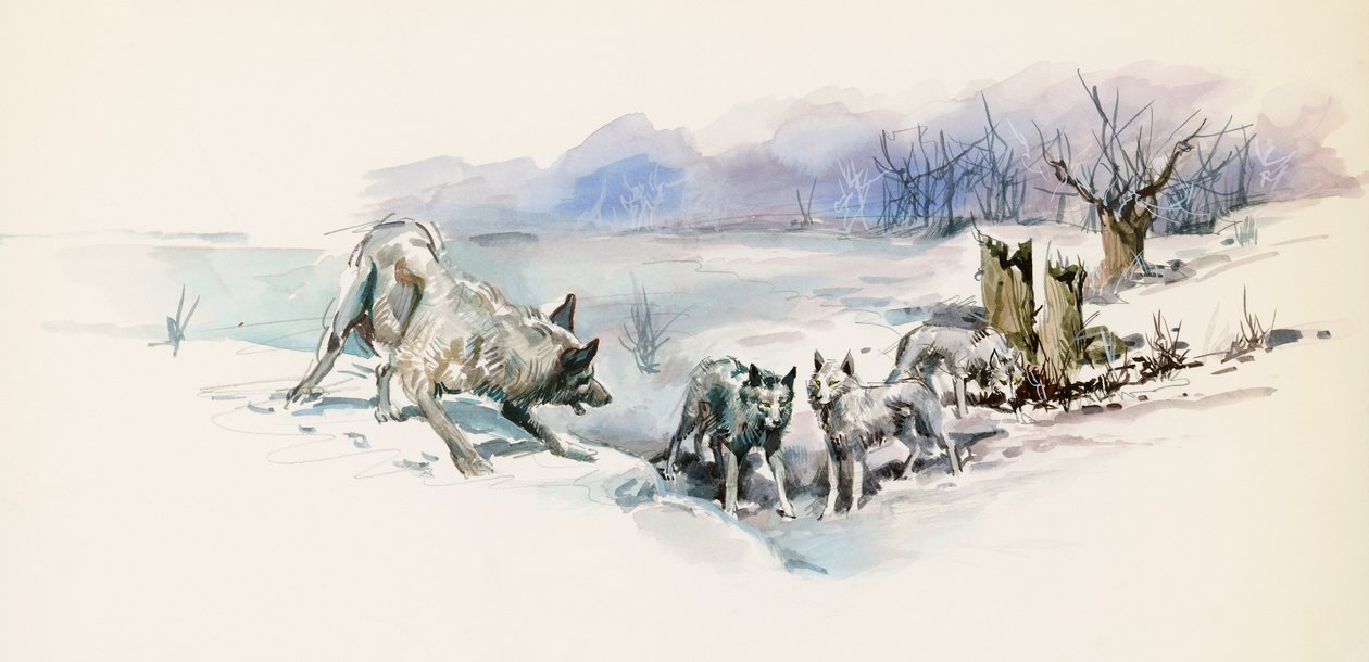 Wolfsrudel, aus dem Abenteuerroman 