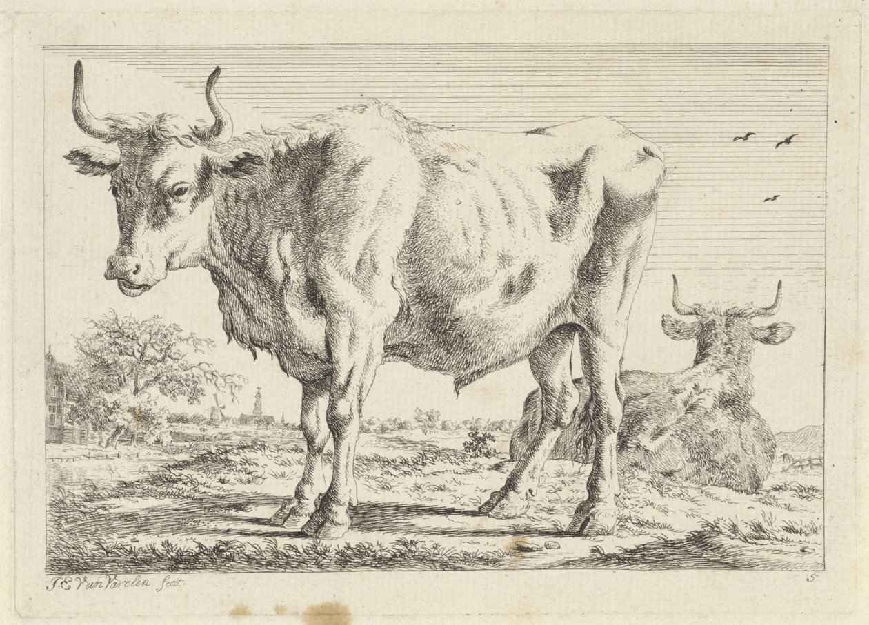 Stehender und liegender Ochse von Jacob Elias van Varelen