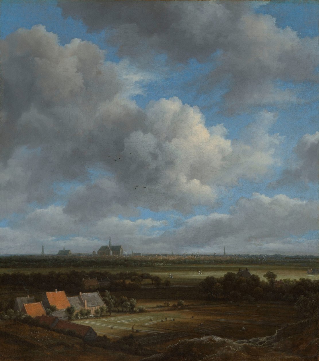 Ansicht von Haarlem vom Nordwesten, mit den Bleichfeldern im Vordergrund von Jacob van Ruisdael