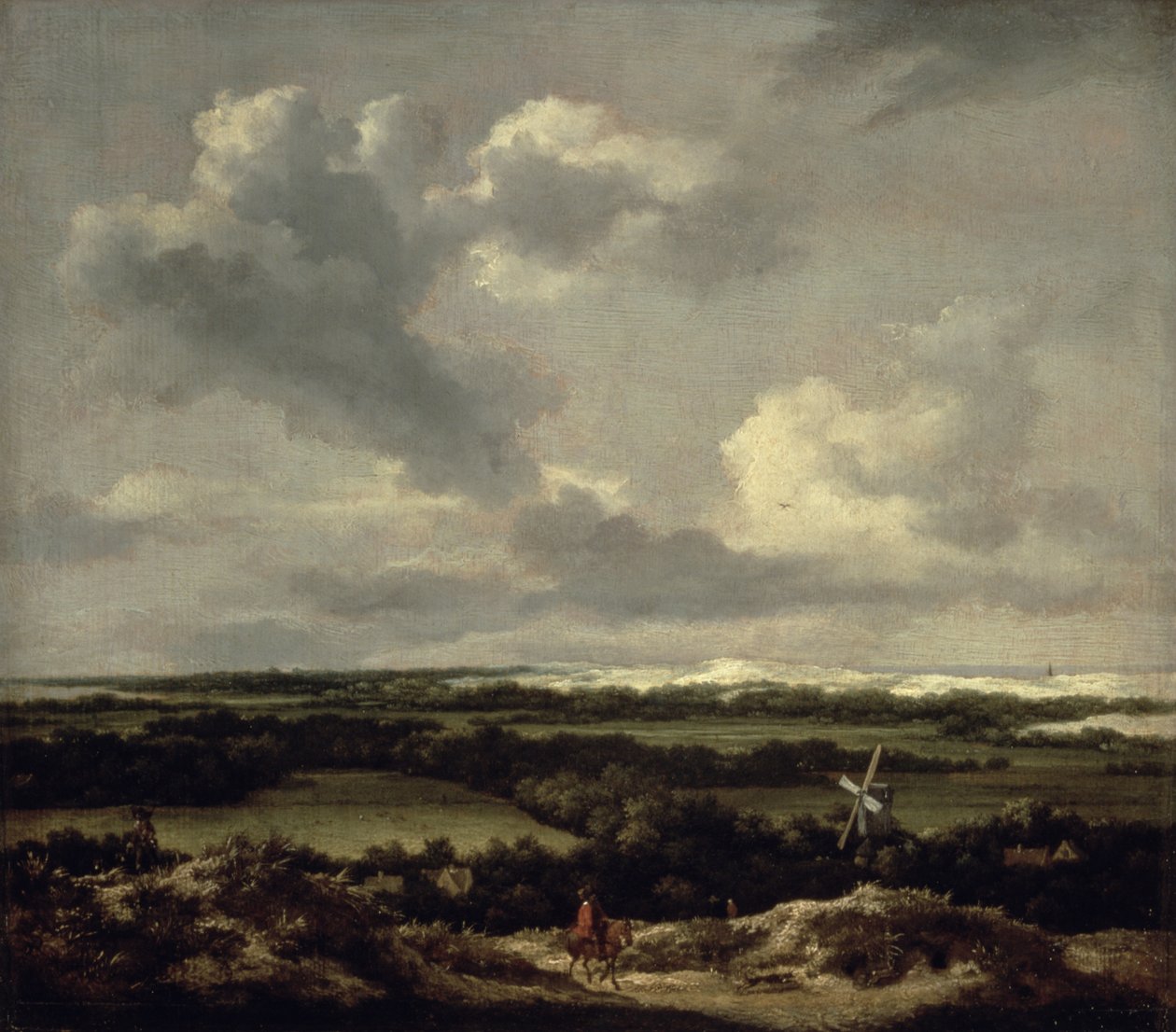 Landschaft mit Dünen bei Haarlem von Jacob van Ruisdael