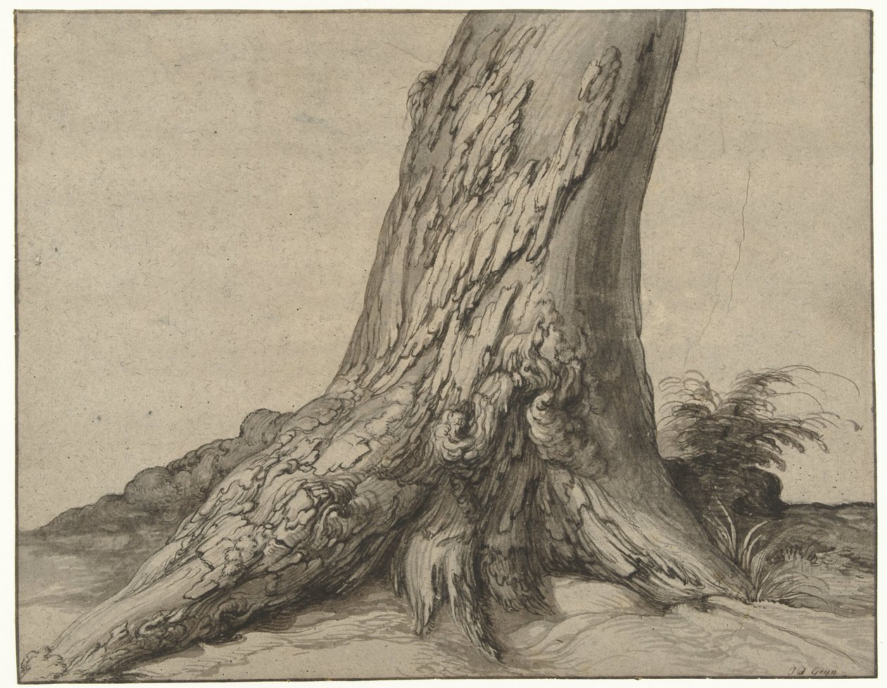 Studie eines Baumstamms mit Wurzeln von Jacob de Gheyn (II)