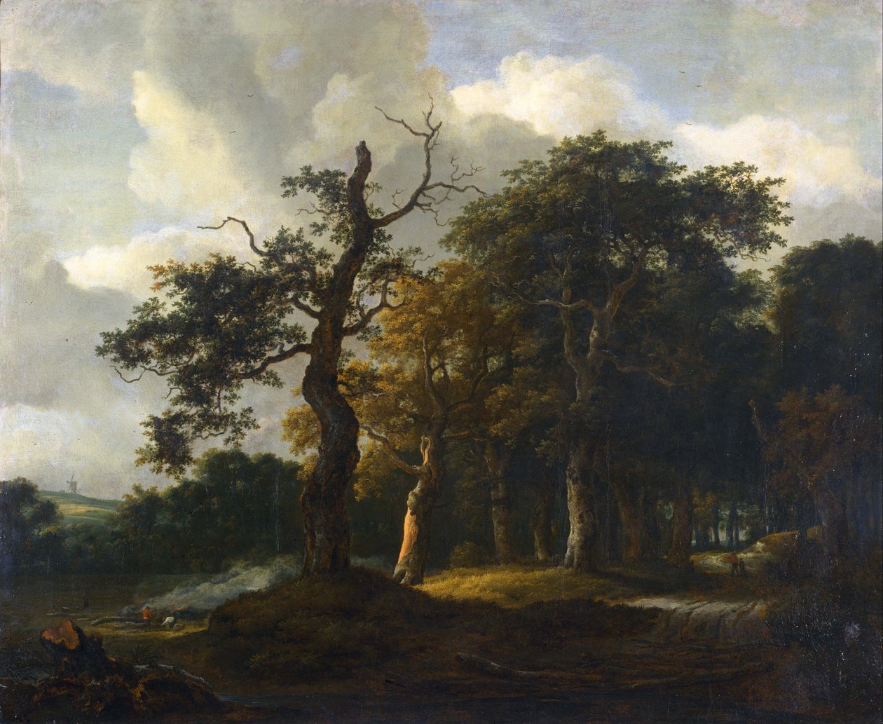 樫の森の道 von Jacob van Ruisdael