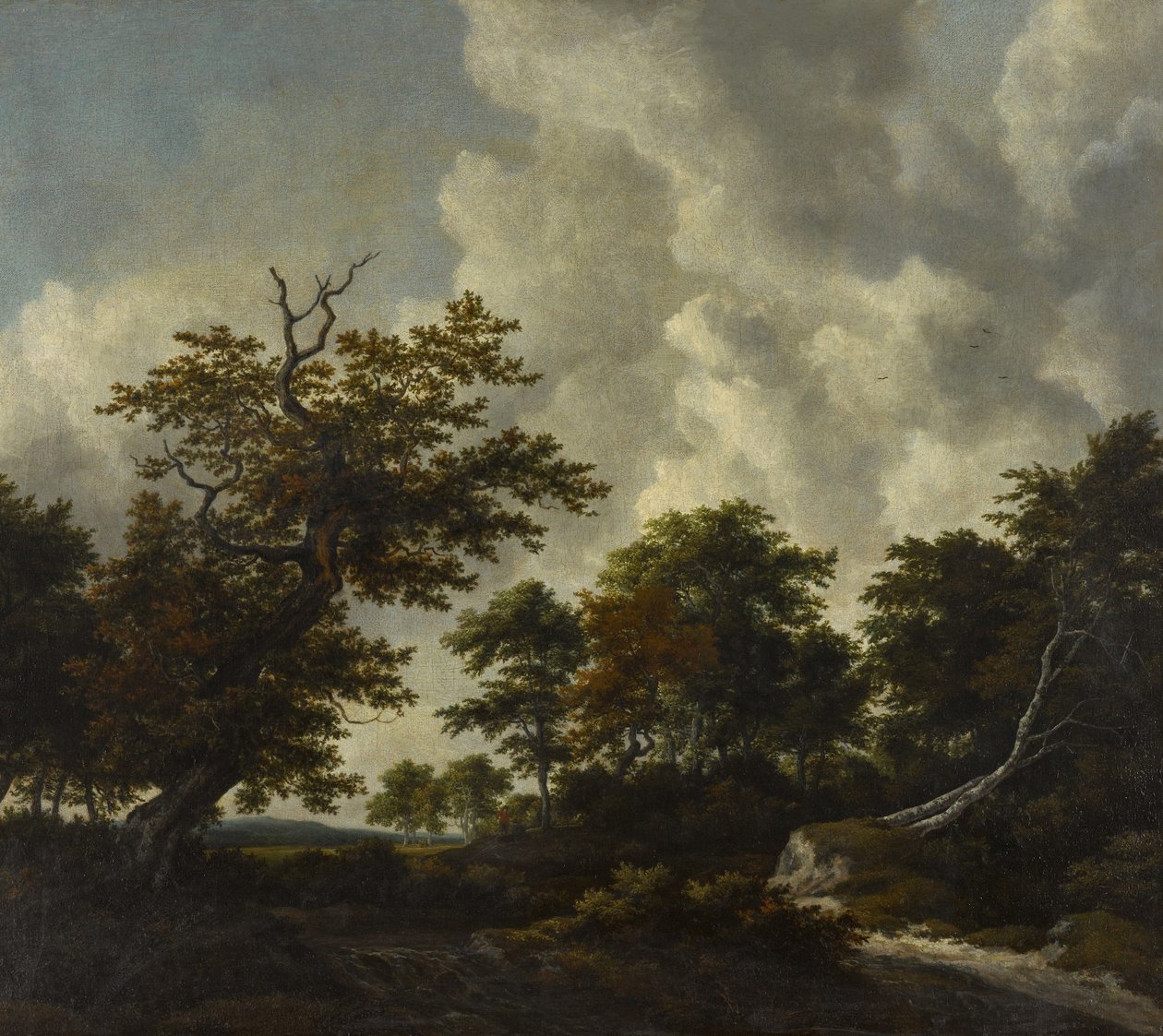 Waldlandschaft mit einer großen Eiche und zwei umgestürzten Buchen bei einem Wasserfall von Jacob van Ruisdael