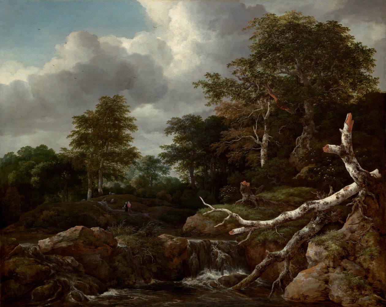 Waldszene, ca. 1655 von Jacob van Ruisdael