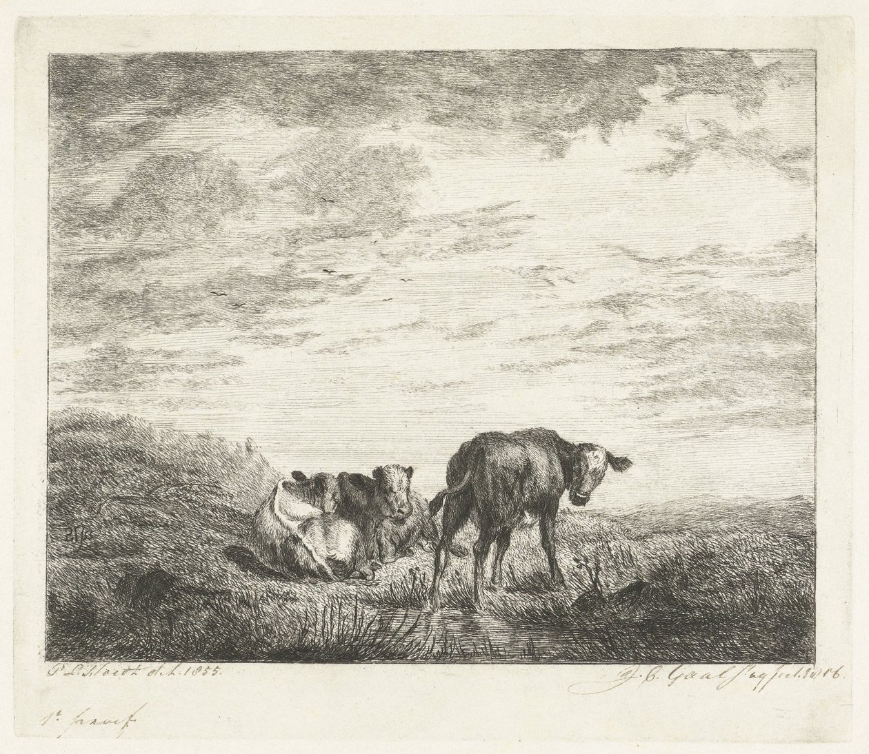Drei Kälber von Jacobus Cornelis Gaal (signed by artist)