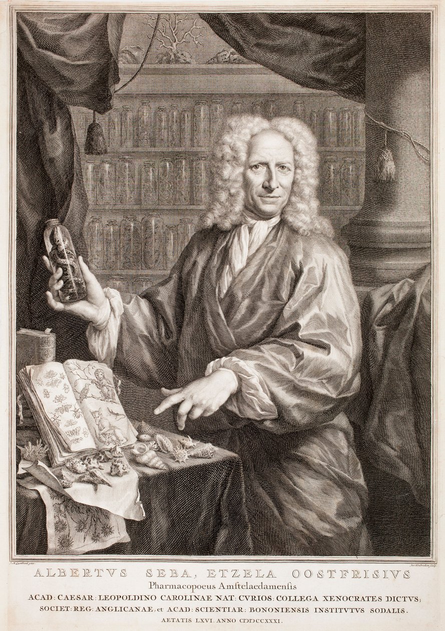 Porträt von Albertus Seba, nach Jan Maurits Quinkhard von Jacobus Houbraken