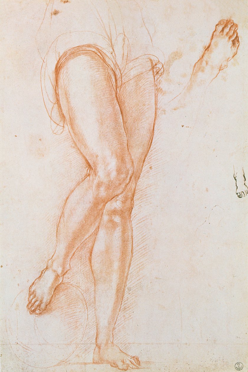 Studie eines Beinpaares und zweier Füße für eine Figur des Erzengels Michael von Jacopo Pontormo