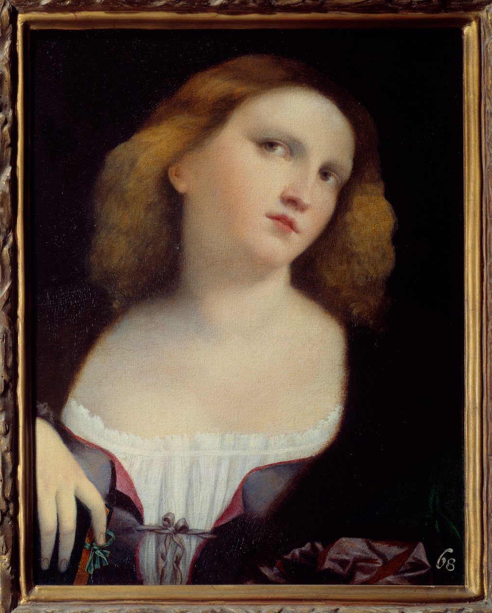 Porträt einer Frau. Gemälde auf Holz, auf Leinwand übertragen von Jacopo Palma il Vecchio (1480-1528) 1513 Dim. 0,48 x 0,38 m Lyon, Musée des Beaux Arts von Jacopo (c.1480 1528) Palma
