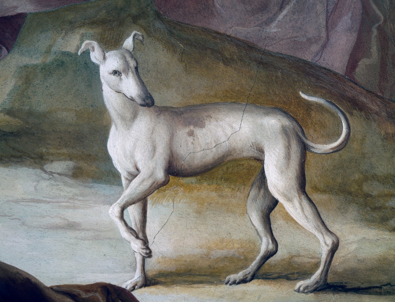 Hund, Detail aus einem Fresko von Jacopo Guarana (1720-1808), Zentralhalle der Villa Contarini, Valnogaredo, Venetien, Italien von Jacopo Guarana