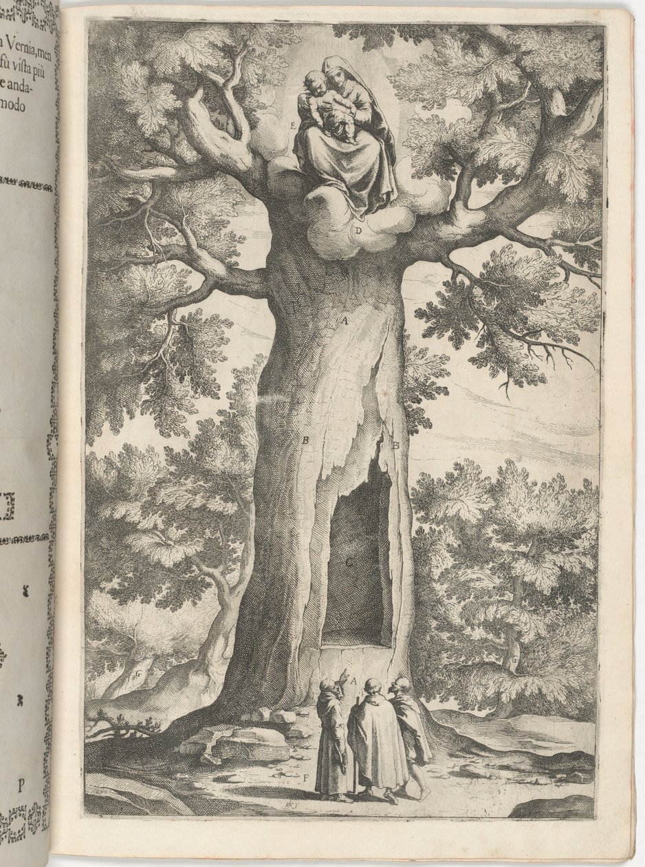 Erscheinung der Jungfrau im Buchenbaum [Tafel P] von Jacopo Ligozzi