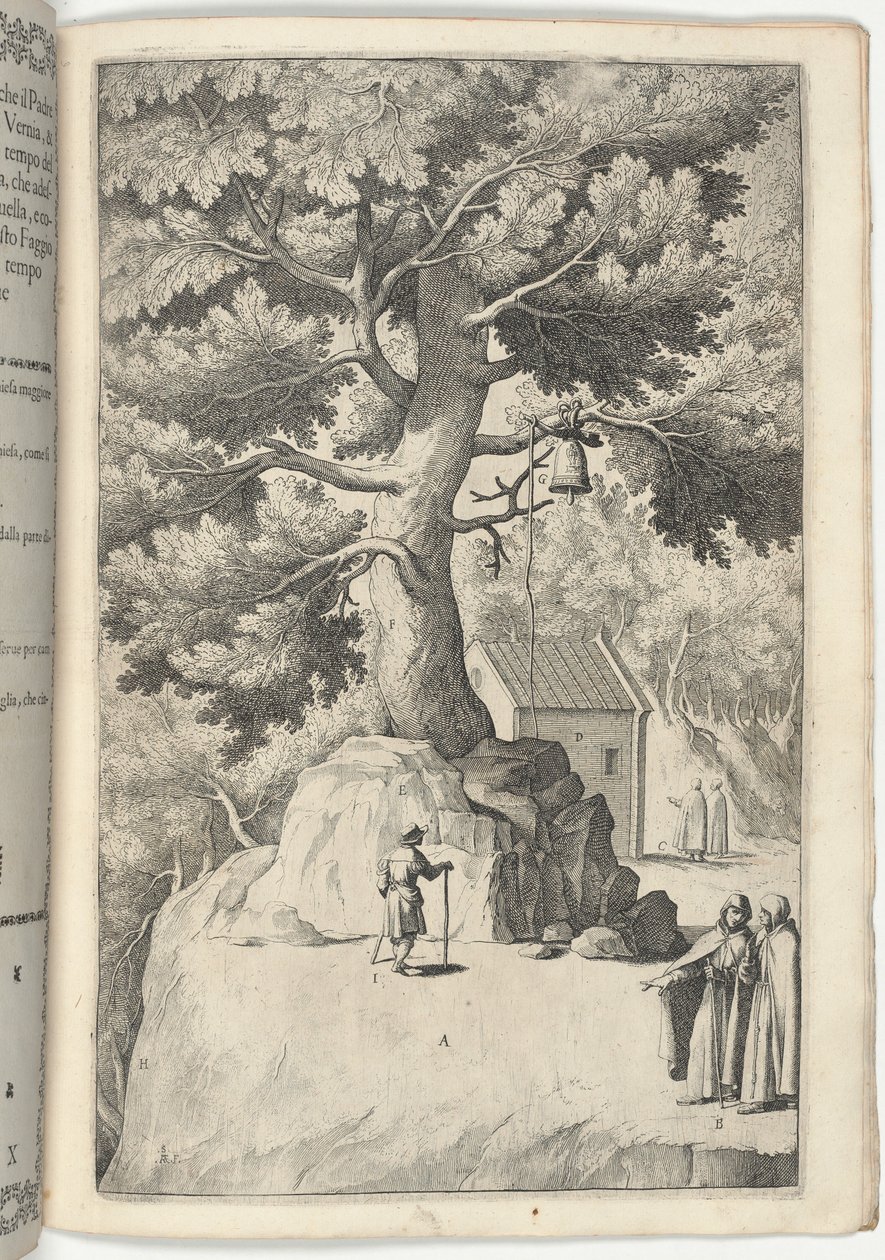 Buchenbaum mit der Glocke [Tafel X] von Jacopo Ligozzi