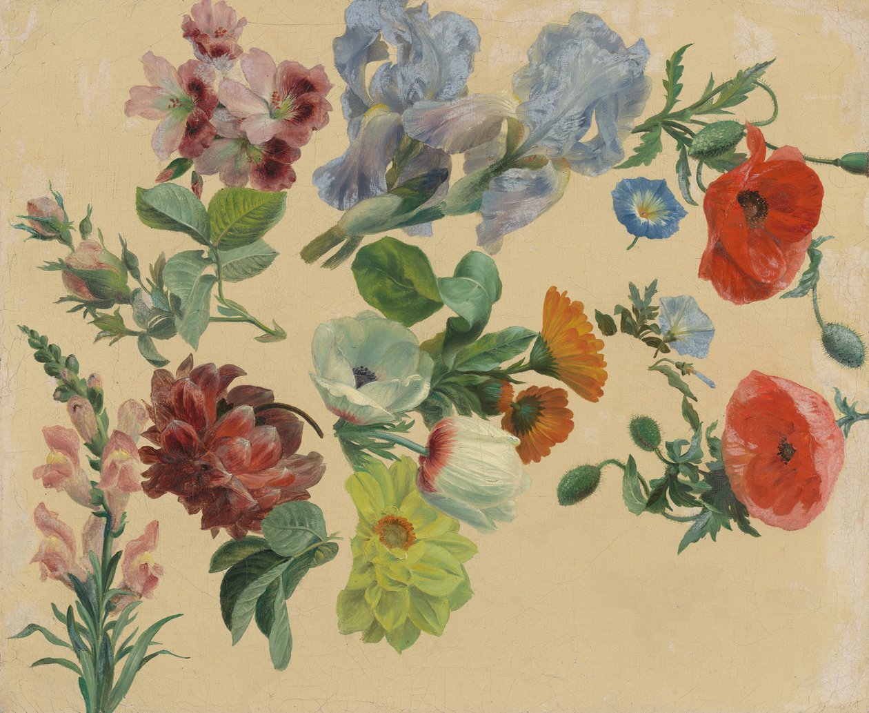 Studien von Sommerblumen von Jacques-Laurent Agasse