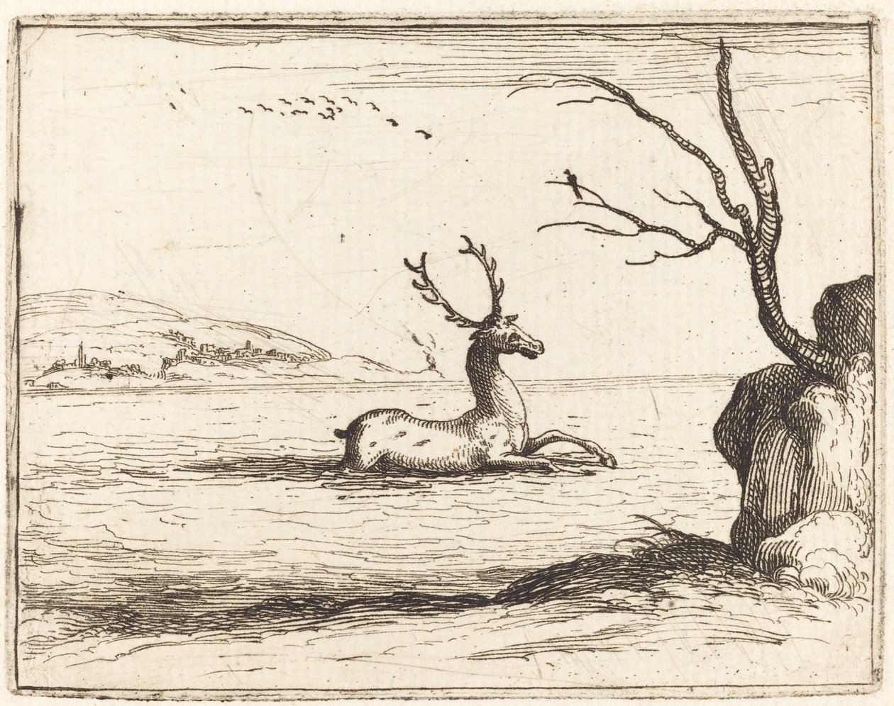 Hirsch im Wasser von Jacques Callot