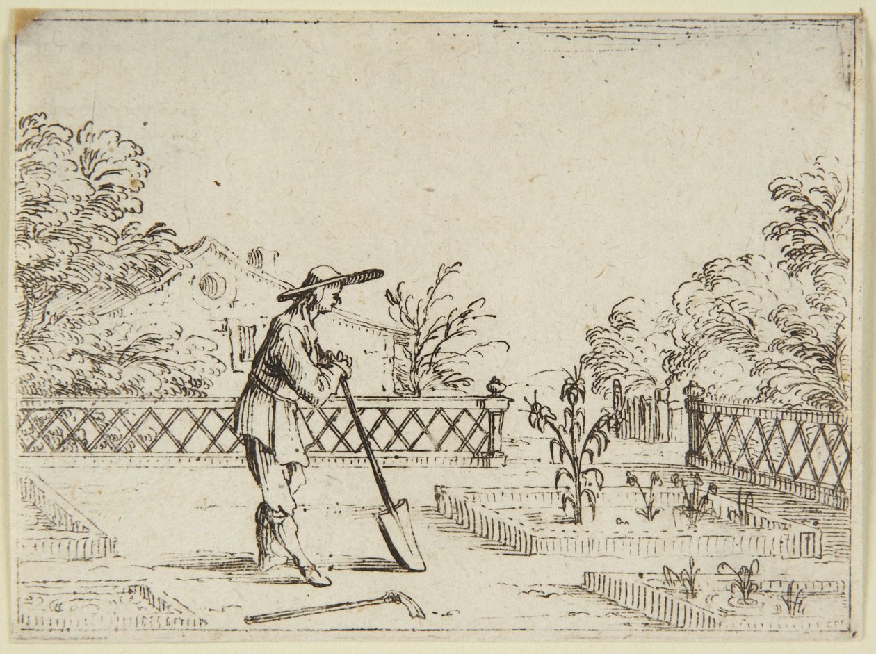 Der Gärtner von Jacques Callot