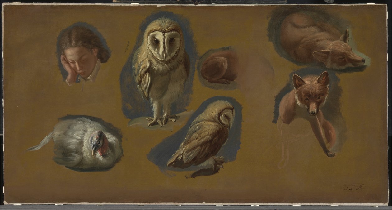 Studien eines Fuchses, einer Schleiereule, eines Pfauenweibchens und eines jungen Mannes Kopf von Jacques Laurent Agasse