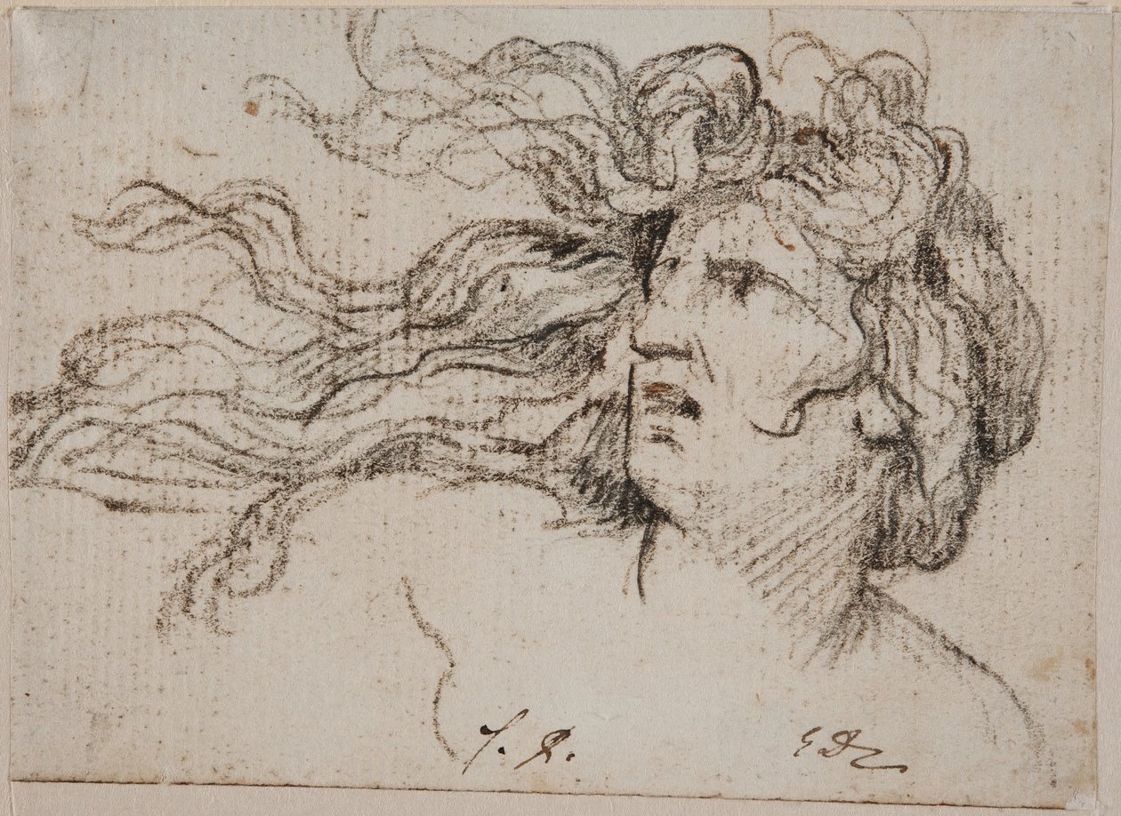 Frauenkopf mit fliegendem Haar von Jacques Louis David